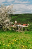 Kácov